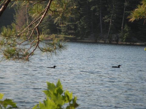 Photo from Canoe camping & hike, Killarney Provincial park