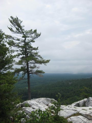 Photo from Canoe camping & hike, Killarney Provincial park