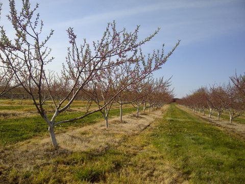 Photo from Niagara Circle Route by Bike