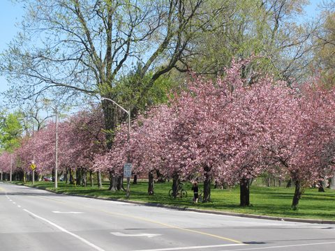 Photo from Niagara Circle Route by Bike