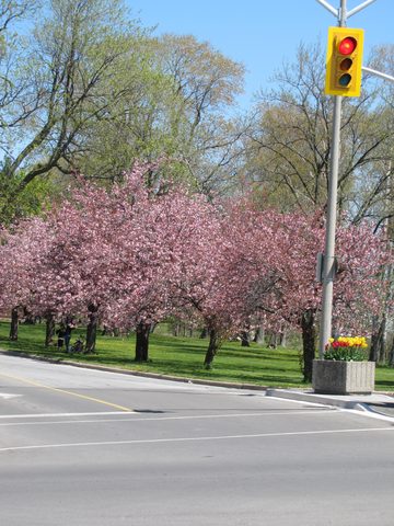 Photo from Niagara Circle Route by Bike