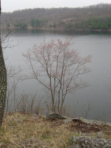 Photo from Spring Backpacking in Frontenac Provincial Park!