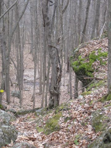 Photo from Spring Backpacking in Frontenac Provincial Park!