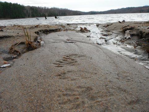 Photo from Spring Backpacking in Frontenac Provincial Park!