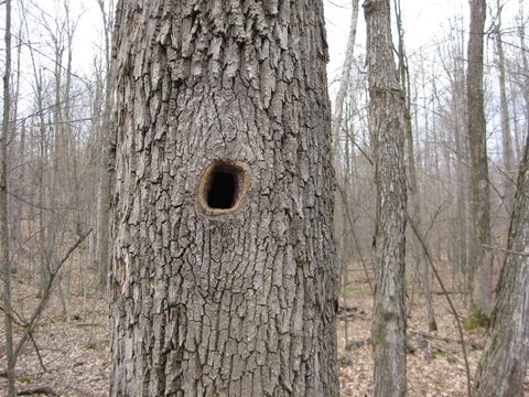 Photo from Spring Backpacking in Frontenac Provincial Park!