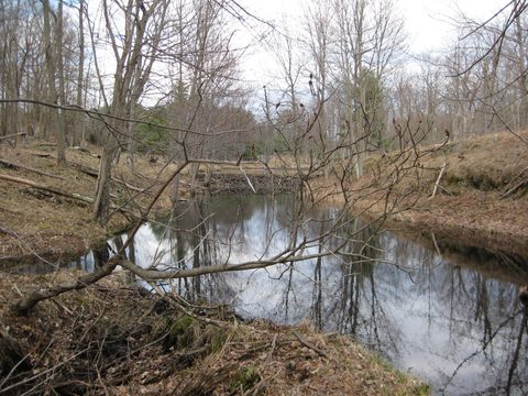 Photo from Spring Backpacking in Frontenac Provincial Park!