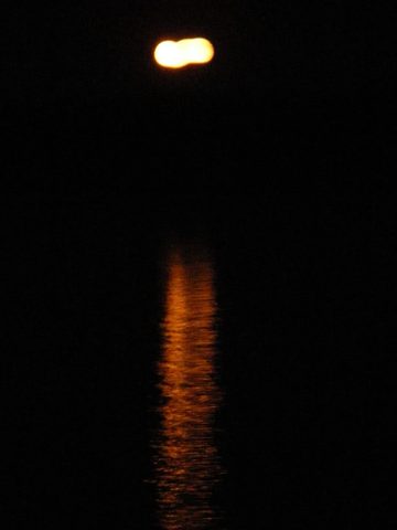 Photo from Canoe camping French River