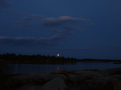 Photo from Canoe camping French River