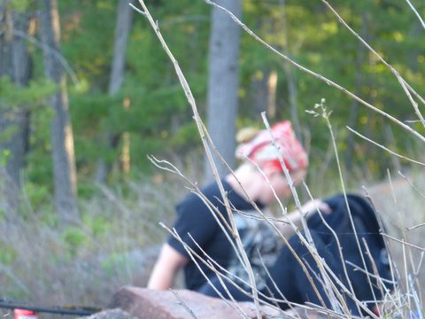 Photo from Canoe camping French River