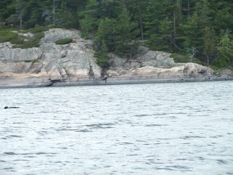 Photo from Canoe camping French River