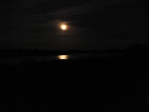 Photo from Canoe camping French River