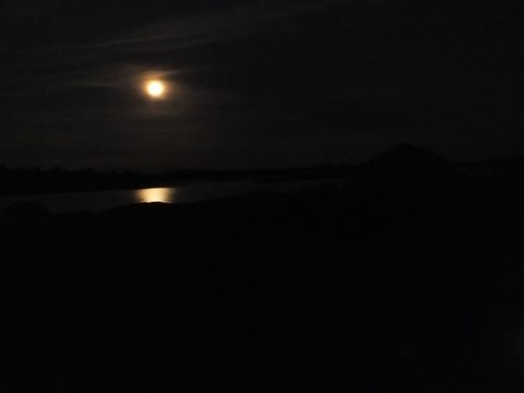 Photo from Canoe camping French River