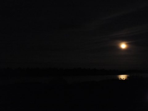 Photo from Canoe camping French River