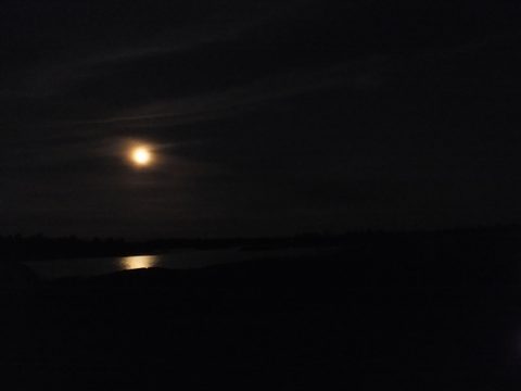 Photo from Canoe camping French River
