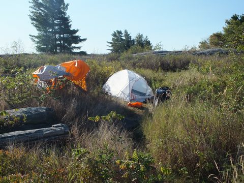 Photo from Canoe camping French River
