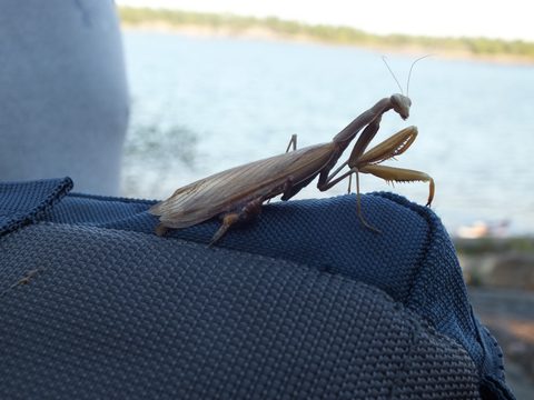 Photo from Canoe camping French River