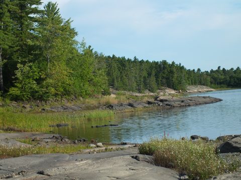 Photo from Canoe camping French River