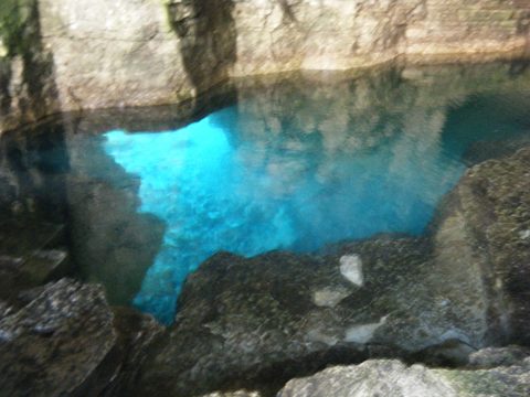 Photo from Trekking with Chev: Beginners Backpack Trip to Tobermory