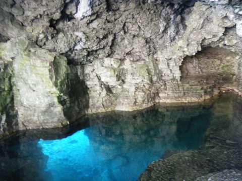 Photo from Trekking with Chev: Beginners Backpack Trip to Tobermory