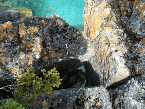 Photo from Trekking with Chev: Beginners Backpack Trip to Tobermory