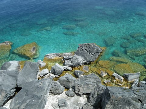 Photo from Trekking with Chev: Beginners Backpack Trip to Tobermory