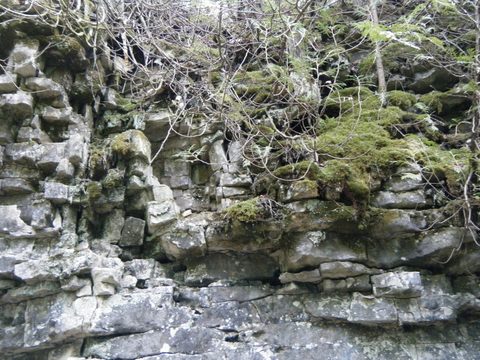 Photo from Trekking with Chev: Beginners Backpack Trip to Tobermory