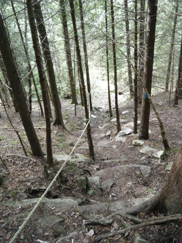 Photo from Trekking with Chev: Beginners Backpack Trip to Tobermory