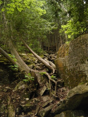 Photo from Trekking with Chev: Beginners Backpack Trip to Tobermory