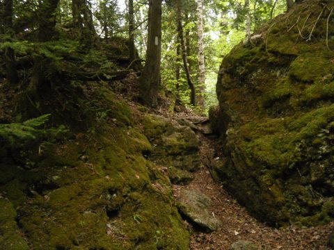 Photo from Trekking with Chev: Beginners Backpack Trip to Tobermory
