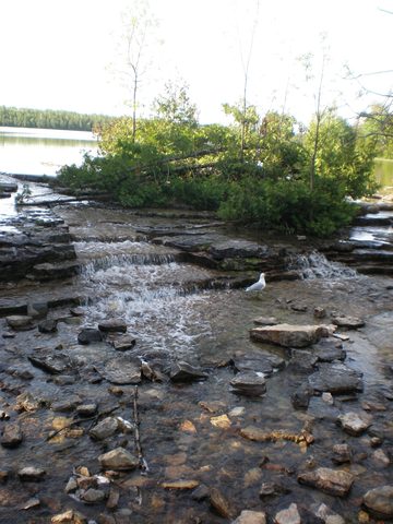Photo from Trekking with Chev: Beginners Backpack Trip to Tobermory