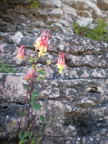 Photo from Trekking with Chev: Beginners Backpack Trip to Tobermory