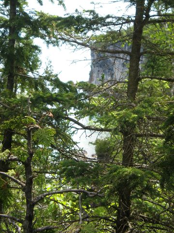 Photo from Trekking with Chev: Beginners Backpack Trip to Tobermory