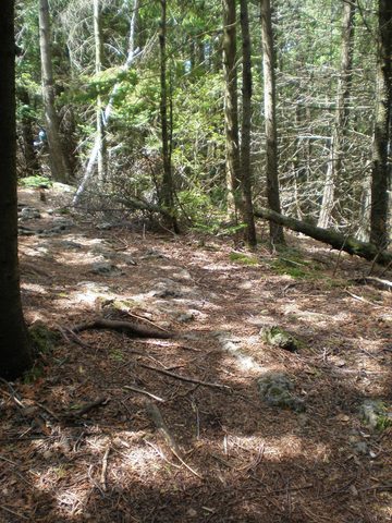 Photo from Trekking with Chev: Beginners Backpack Trip to Tobermory