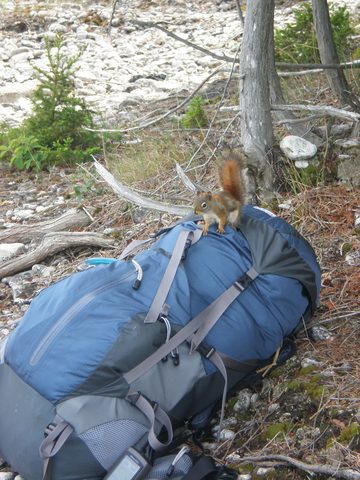 Photo from Trekking with Chev: Beginners Backpack Trip to Tobermory