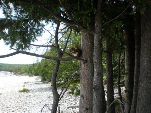 Photo from Trekking with Chev: Beginners Backpack Trip to Tobermory