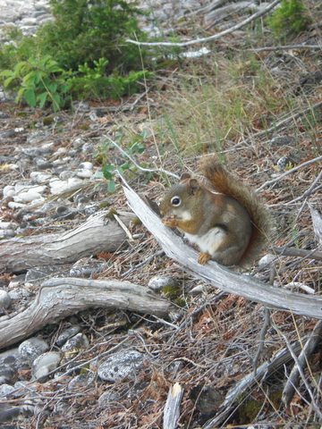 Photo from Trekking with Chev: Beginners Backpack Trip to Tobermory