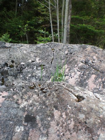 Photo from Trekking with Chev: Beginners Backpack Trip to Tobermory