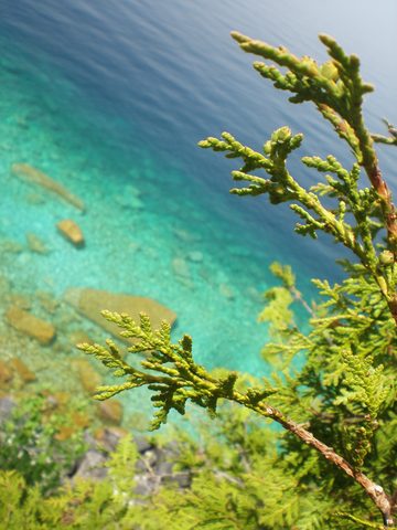 Photo from Trekking with Chev: Beginners Backpack Trip to Tobermory
