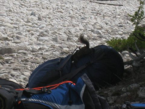 Photo from Trekking with Chev: Beginners Backpack Trip to Tobermory