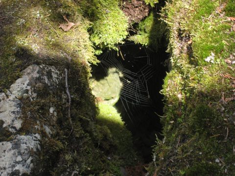 Photo from Trekking with Chev: Beginners Backpack Trip to Tobermory