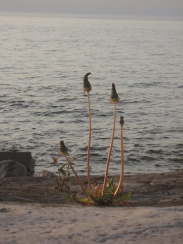 Photo from Trekking with Chev: Beginners Backpack Trip to Tobermory