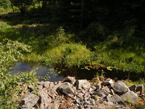 Photo from TREKKING WITH CHEV: Bon Echo's Abe’s and Essen’s Trail