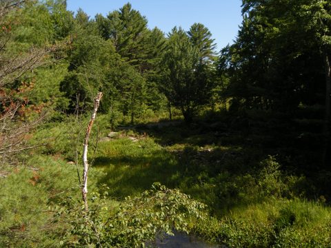 Photo from TREKKING WITH CHEV: Bon Echo's Abe’s and Essen’s Trail