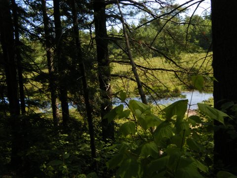 Photo from TREKKING WITH CHEV: Bon Echo's Abe’s and Essen’s Trail