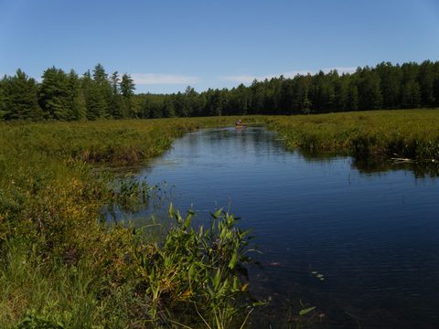 Photo from TREKKING WITH CHEV: Bon Echo's Abe’s and Essen’s Trail