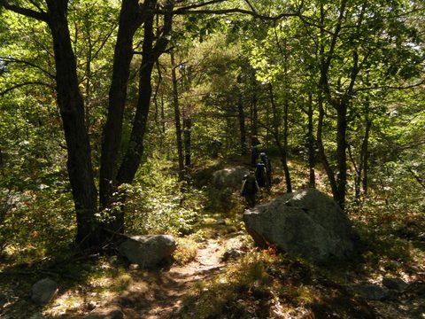 Photo from TREKKING WITH CHEV: Bon Echo's Abe’s and Essen’s Trail