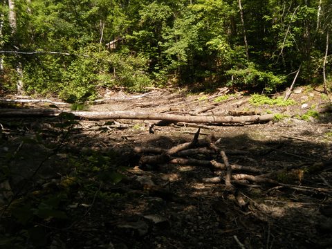 Photo from TREKKING WITH CHEV: Bon Echo's Abe’s and Essen’s Trail