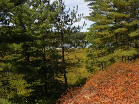 Photo from TREKKING WITH CHEV: Bon Echo's Abe’s and Essen’s Trail
