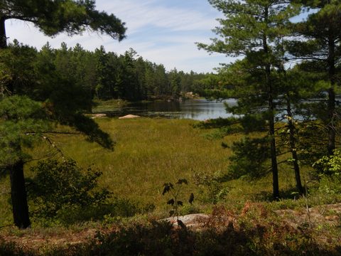 Photo from TREKKING WITH CHEV: Bon Echo's Abe’s and Essen’s Trail