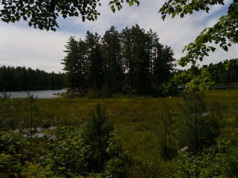 Photo from TREKKING WITH CHEV: Bon Echo's Abe’s and Essen’s Trail